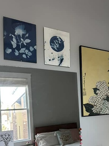 Cyanotype prints add drama to a room