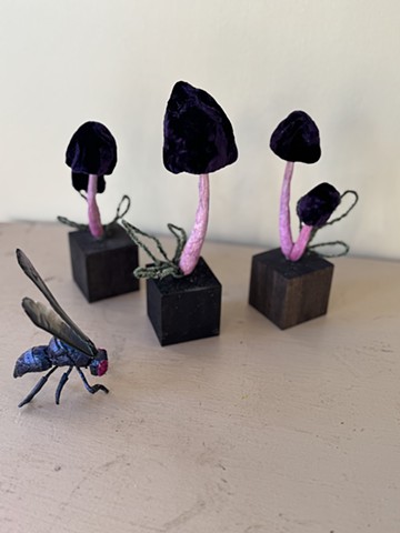 Violet Deceiver trio with fly