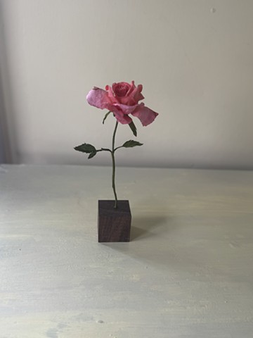 Rose Oh Happy Day Eleganza