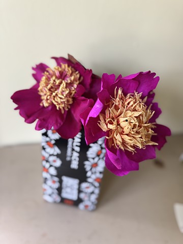 Le Charme peony; one mine, one real