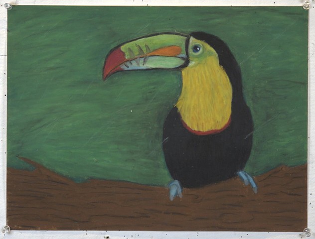 Tucan