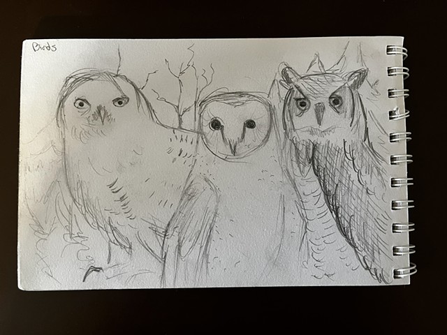 Owl