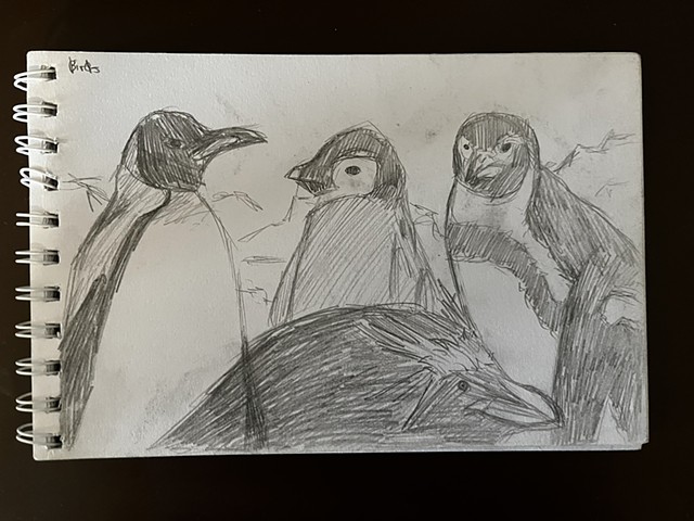 Penguin