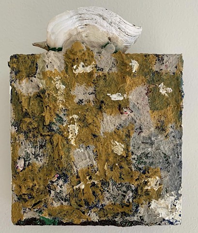 Calcification of Shell Pencil