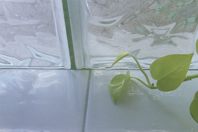 Tendril, Lakeview, Chicago, IL, USA (2025)