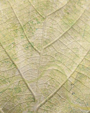 The Well-Rounded Nest