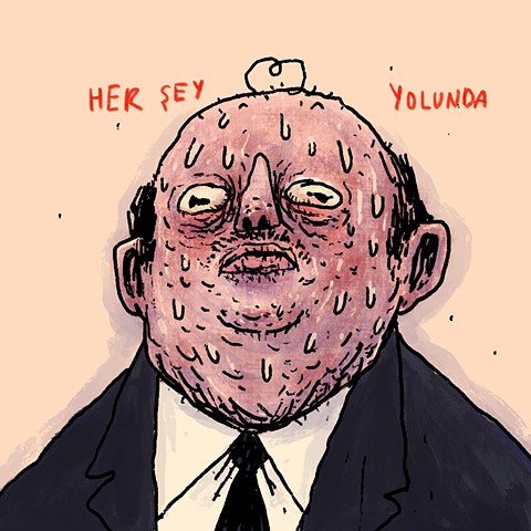 Her sey yolunda