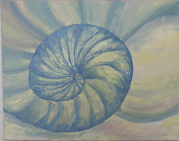 Sea Shell by the Sea Shore 