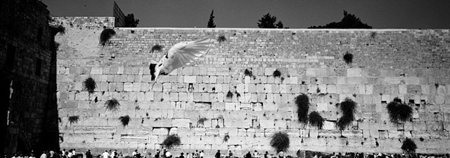 Whisper, Western Wall Jerusalem 