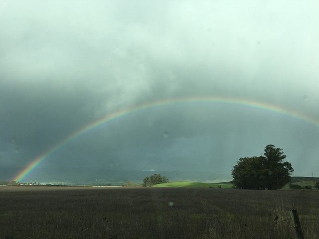 S.F. Poet Laureate’s Book Maps a Road of Resistance in Language That Sings