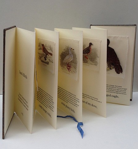 Jane's Birds Accordion Book