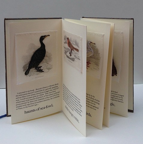 Jane's Birds: Detail