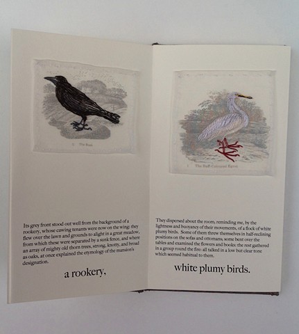 Jane's Birds: Detail