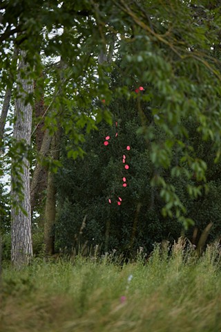 Between Heaven and Earth