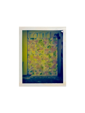 JOHN EDWARD MCFADDEN