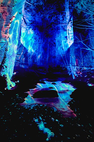 Tributary
