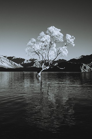 Lake Wanaka