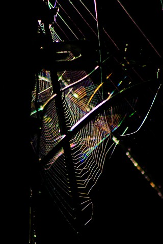 Woven