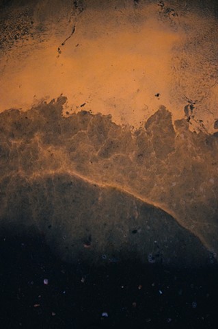 Pollen, Penobscot Bay