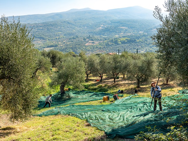 Montegiovi, Italy