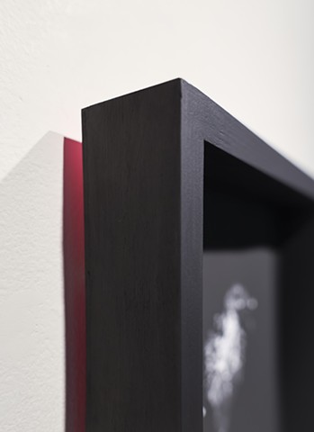 Stone fruit (detail)