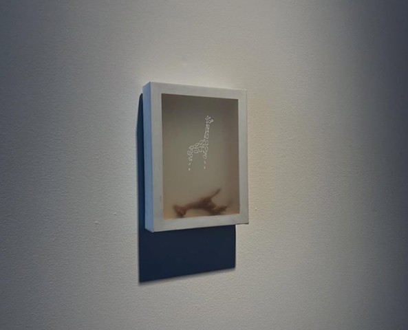 Where does one bury a giraffe?