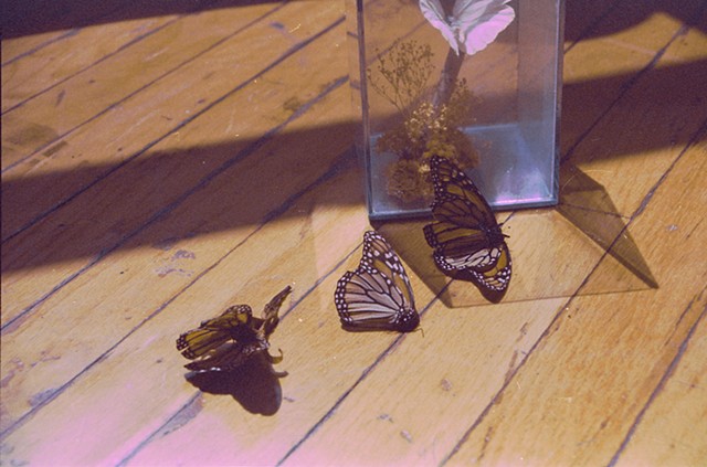 Monarchs