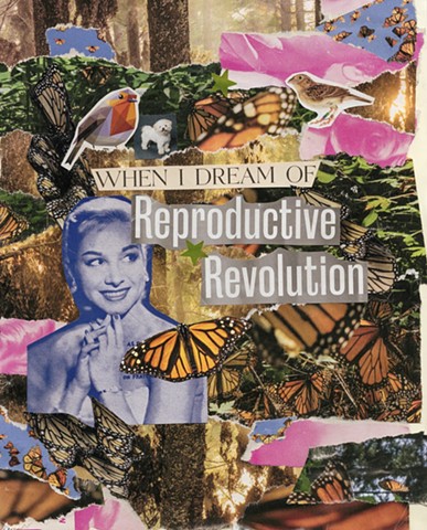 Reproductive Revolution 