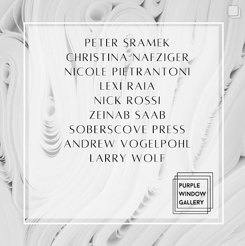 “Stochastic Book Fair”, Purple Window Gallery