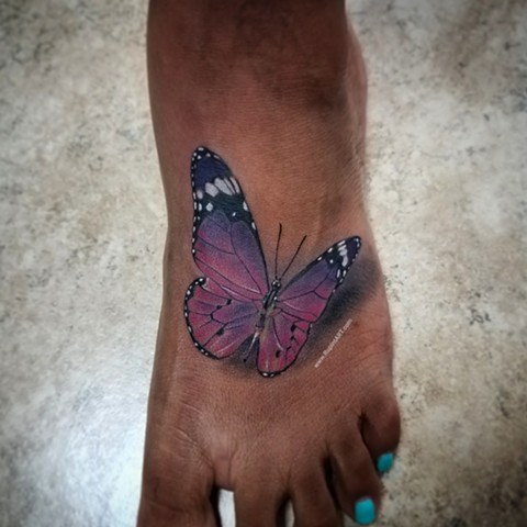 butterfly