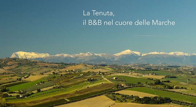 2026 B&B La Tenuta