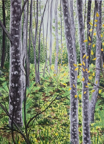 Walk through the Woods