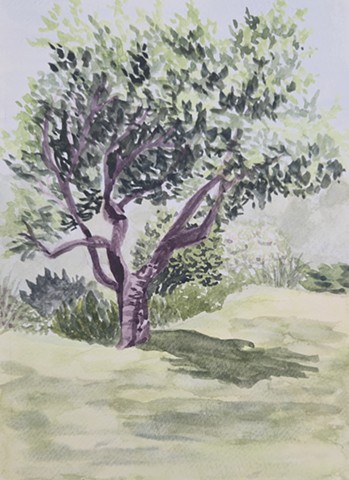 Plein Air Tree