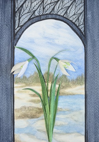 Hope In Spring - Snowdrops