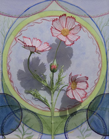 Cosmos
