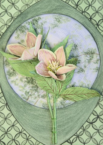 Hope In Spring - Hellebore