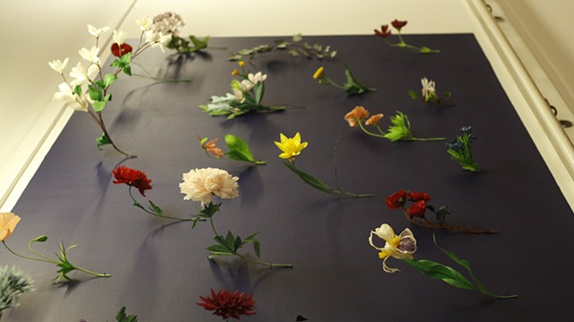 Thesis Installation View #3