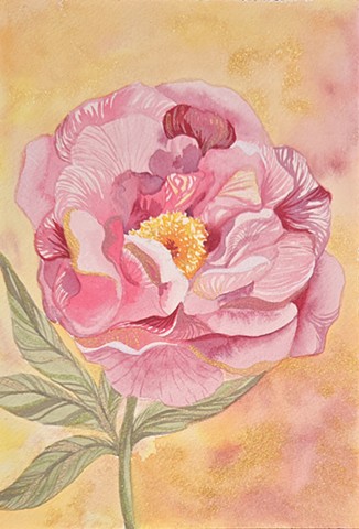 Golden Peony