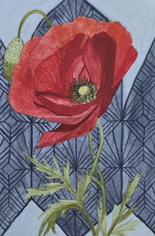 Red Poppy