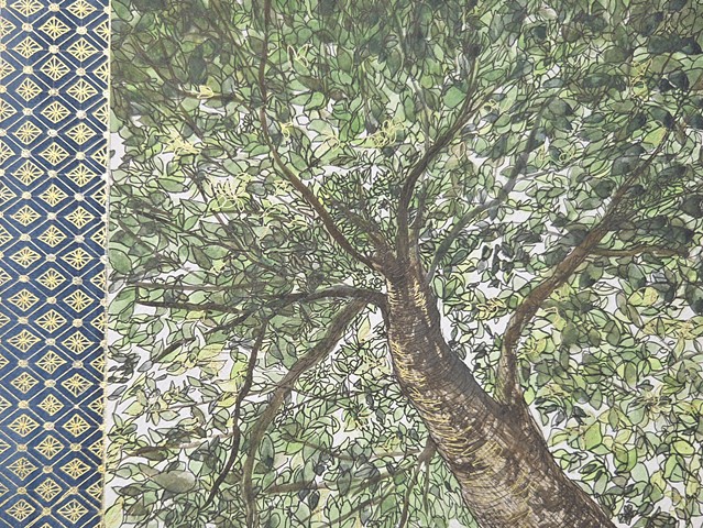 Into the Branches