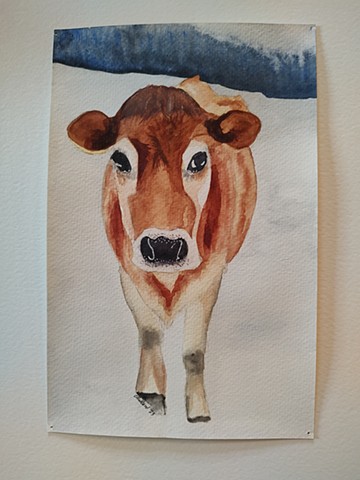The Cow