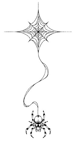 Orb Weaver