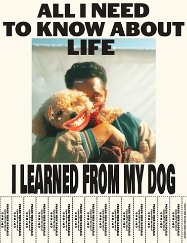 Good Advice Marketing Flyer