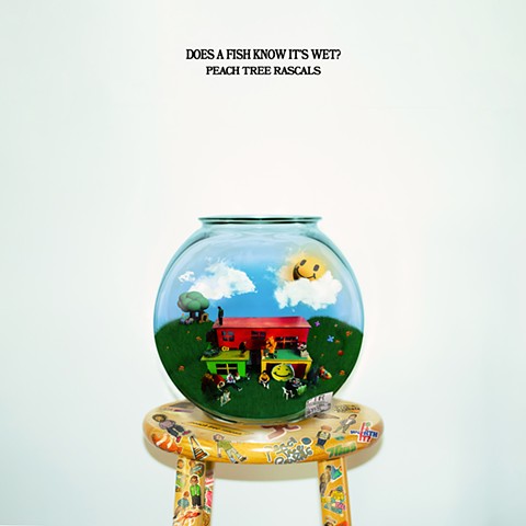 Does a Fish Know its Wet? Cover Art