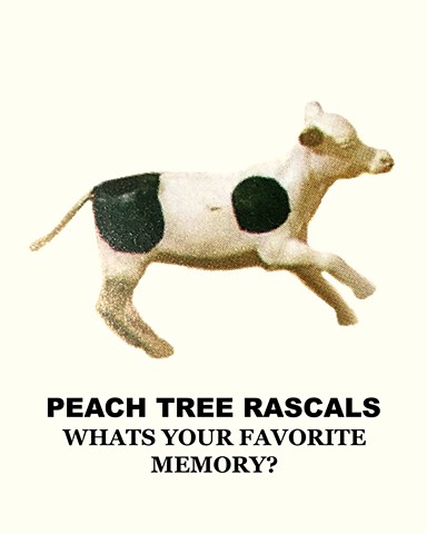 Whats Your Favorite Memory?