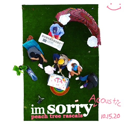Im Sorry Acoustic Promo