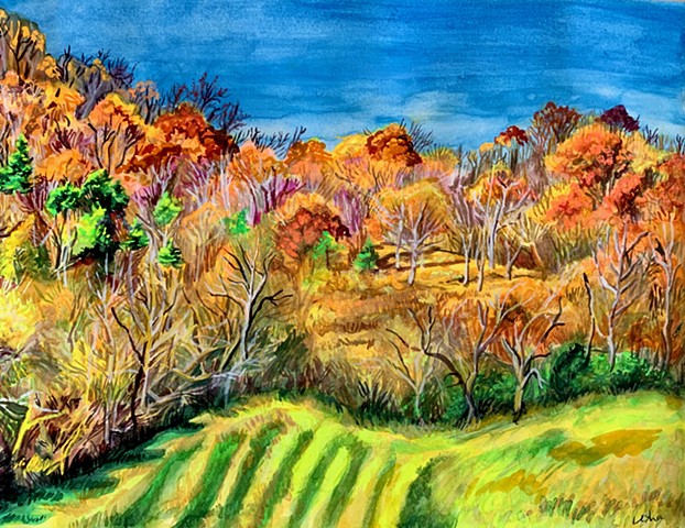 Bailey Mountain in Fall