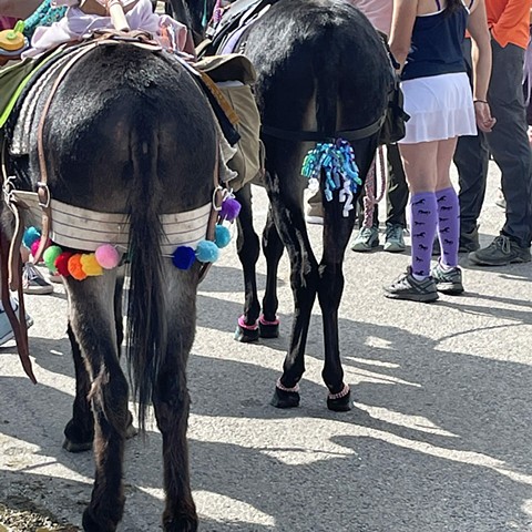 07.27.2022 Pack Burro Racing 