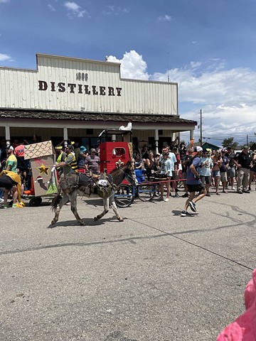 08.02.2022 World Championship Burro Races 2022