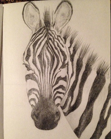 Sajan's Zebra